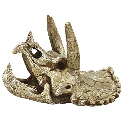 Image of Superfish SF Skull Triceratops Size M 24 x 10 15 cm Aquarium Decoration