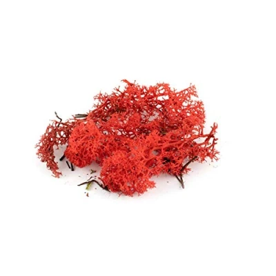 Image of War World Scenics Lichen Red Moss Model Foliage 20g Railway Wargame Scenery Landscape Modelling Trees Bushes Hedges Diorama Basing Material