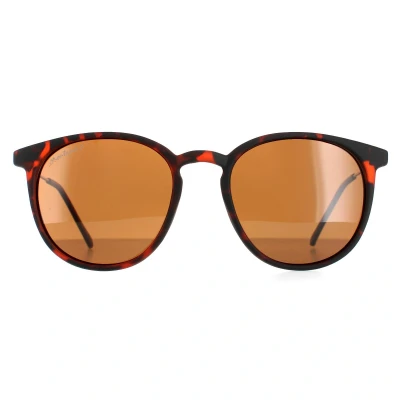 Image of Montana Round Unisex Havana Rubbertouch Brown Polarized MP33 Sunglasses One Size