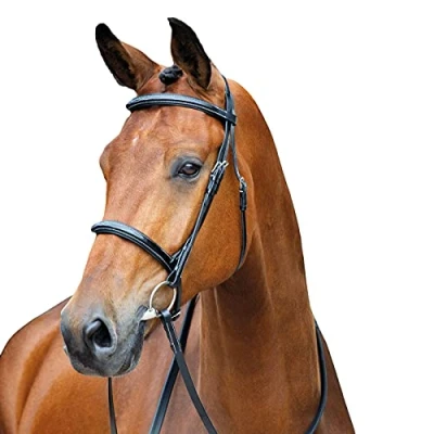Image of Shires Salisbury Fairford Bridle in Black Cob,