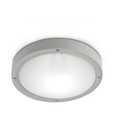Image of Basic Aluminium 1 Light Outdoor Ceiling Grey IP65, E27