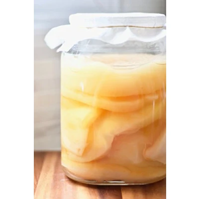 Image of JUN Tea 5L (XL) Kombucha Scoby Certified Organic UKAS LAB Tested for Green and Honey by Kombuchaorganic® Quality Assured Outstanding Unique Cultures