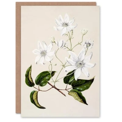 Image of Artery8 Sarah Featon Art Card New Zealand Puawananga Clematis Flowers