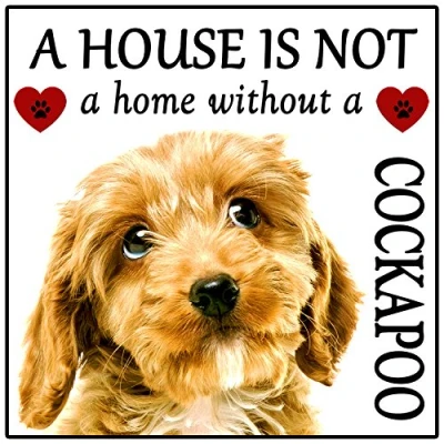 Image of Cockapoo Dog Gift &quot;House is not a Home&quot; Fridge Magnet, size 5&quot; x 5&quot;.