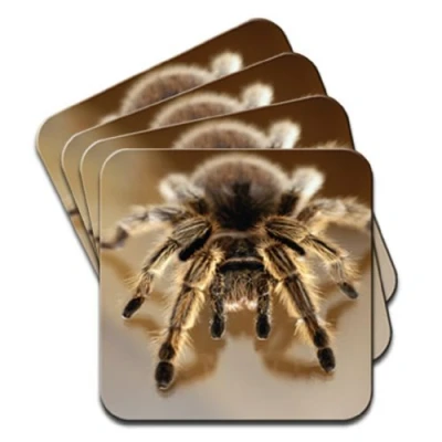 Image of Close up of a Tarantula Spider Set 4 Coasters