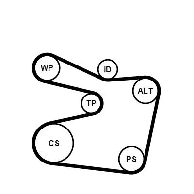 Image of CPPN13048000M24ZZP, CT1149 Timing Belt CONTITECH 163 24mm ALFA ROMEO: 147