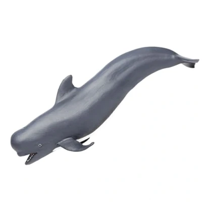Image of Safari Pilot Whale