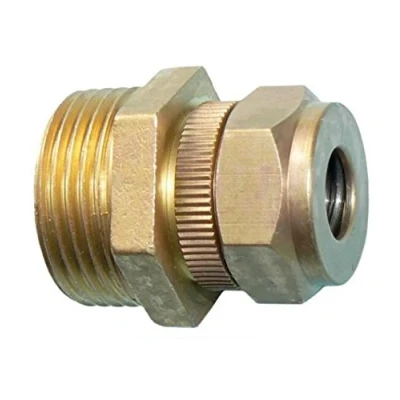 Image of 1/2&quot; Spring Safety Valve Male Thread