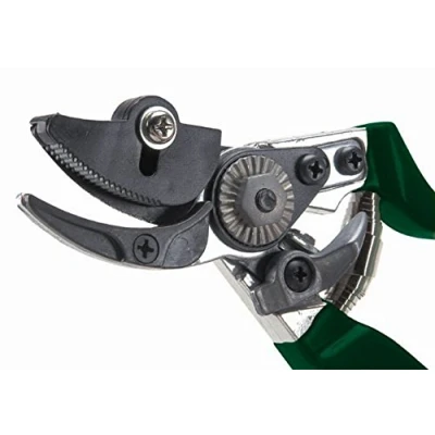 Image of Burgon &amp; Ball RHS Endorsed Rose Pruner, 20 cm Length