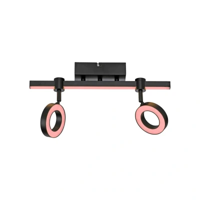 Image of JUST LIGHT. LED ceiling lamp LOLAsmart Bileda, 2 bulb, black