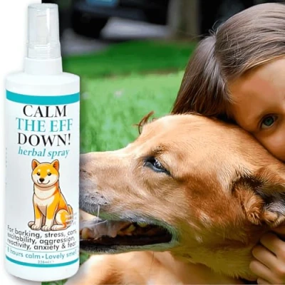 Image of Calm the eff down Herbal Spray for Dogs 236ml Natural Calming Anxious Helps Reduce Stress, Anxiety, and Nervous Behavior Dog Relaxant Travel, Home, Stressful
