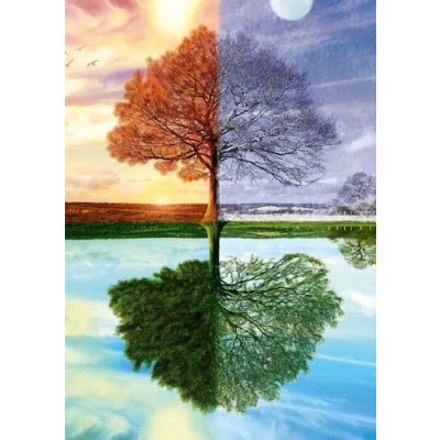 Image of Schmidt The Seasons Tree Puzzle 500pc Ages 12+ 1 Players