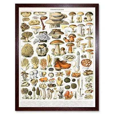 Image of Artery8 Millot Encyclopedia Page Mushrooms Variety Art Print Framed Poster Wall Decor 12x16 inch