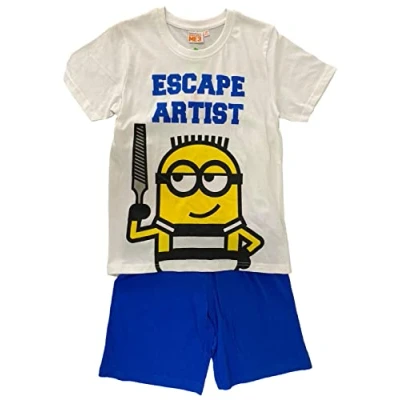 Image of Boys Character Short Pyjamas 2PC Night WEAR PJ Sets Official 3 12Y