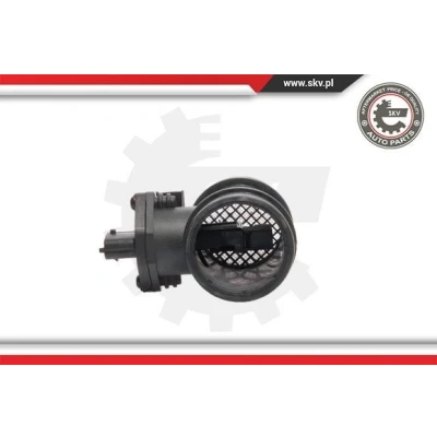 Image of Esen SKF 10SKV102 Power Steering Pump
