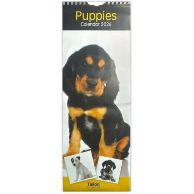 Image of 2025 Super Slim Month to View Spiral Bound Hanging Wall Calendar Home Office (Puppies)