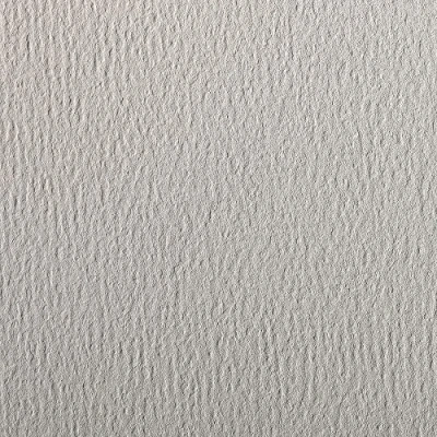 Image of Clairefontaine Ref 93881C Etival Coloured Grained Drawing Paper (Pack of 25 Sheets) A4 (29.7 x 21cm) 160gsm Cellulose Art Light Grey Acid Free, pH Neutral