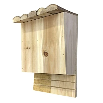 Image of Selections Large Wooden Bat Box