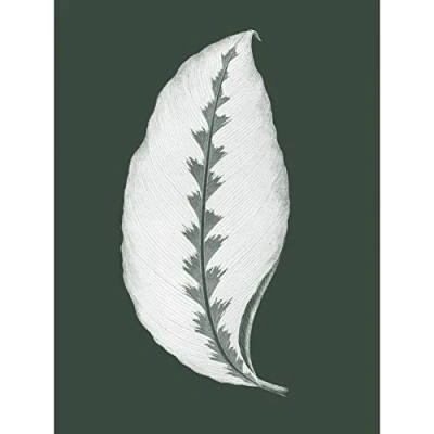 Image of Wee Blue Coo Botanics Hunter Green Jungle Leaf Art Print Poster Wall Decor