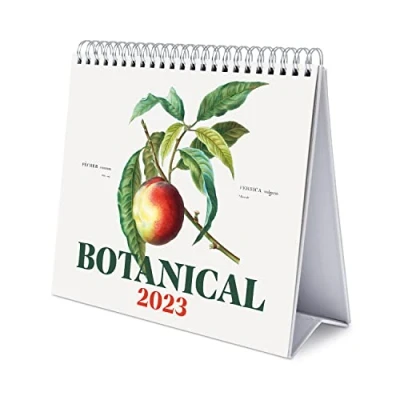 Image of Grupo Erik Botanical Calendar 2023 Desktop 7 x 8 inches / 18 20 cm Vintage Desk 12 Month Planner Cute Stationery