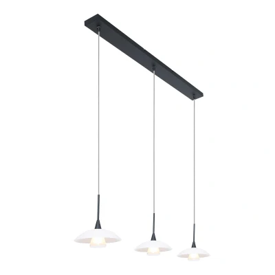 Image of Tallerken Straight Bar Pendant Ceiling Light Matt Black Fixture, Glass White Matt, Transparent