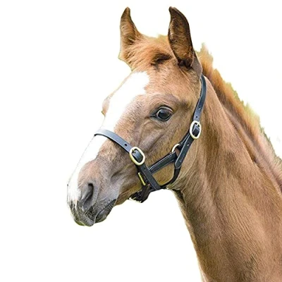 Image of Shires Blenheim Adjustable Leather Headcollar Black Baby 3