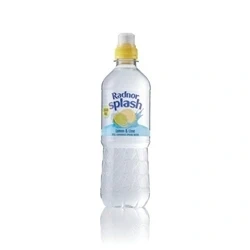 Image of Radnor Splash Lemon and Lime SUGAR FREE Flavoured Water 24 x 500ml