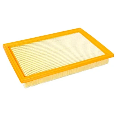 Image of 165468558R, 165469905R Air Filter FEBI BILSTEIN 170020 34mm 174mm 248mm Insert