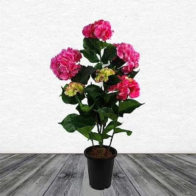 Image of Leaf Artificial Hydrangea Flowering Plant Pink