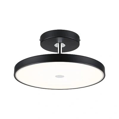 Image of Paulmann Hildor LED ceiling lamp 3 level dim black