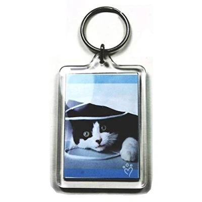 Image of 5 Large Blank Photo Keyrings 50 x 35 mm Insert 92033