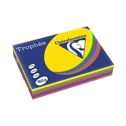 Image of Trophee Card A4 160gm Intensive Assorted (250 Pack) 1713C