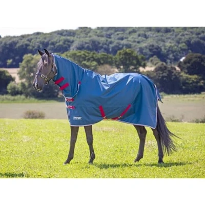 Image of Shires Tempest Original Lite Turnout Combo Rug Teal 5ft6