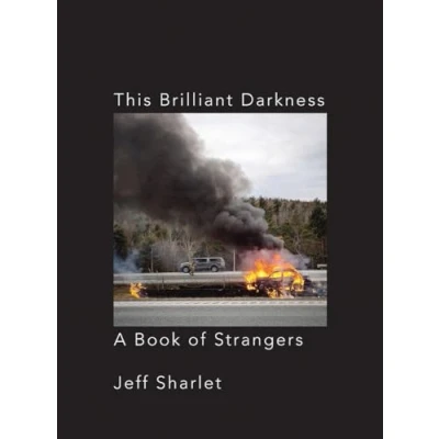 Image of This Brilliant Darkness A Book of Strangers