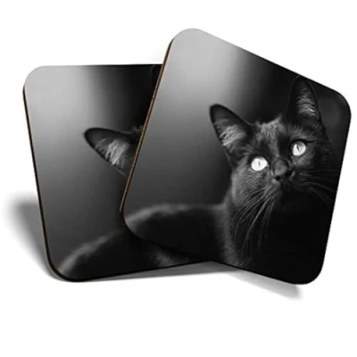 Image of 2 x Square Coasters Beautiful Black Cat Kitten Cork Backed Home Kitchen Accessory Tea Coffee Mug Mat #38549