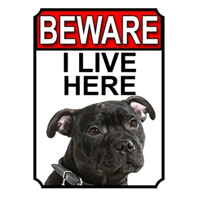 Image of BEWARE I LIVE HERE METAL GATE SIGN AMERICAN STAFFORDSHIRE 200MM X 150MM (1038H1)