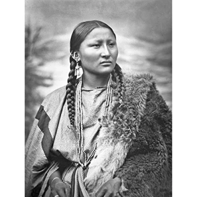 Image of Native American Arapaho Pretty Nose 1879 Photo Art Print Canvas Premium Wall Decor Poster Mural