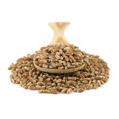 Image of Sussex Wholefoods Organic Wheat Grain 500g: Premium Quality, Versatile Whole