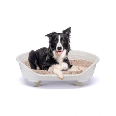 Image of Ferplast Dog Bed &amp; Cat with Cotton Cushion, Raised Bed, Plastic Medium, Washable, Basket, Breathable Antislip, THRONE 82 x 59,5 h 29,5 cm, White