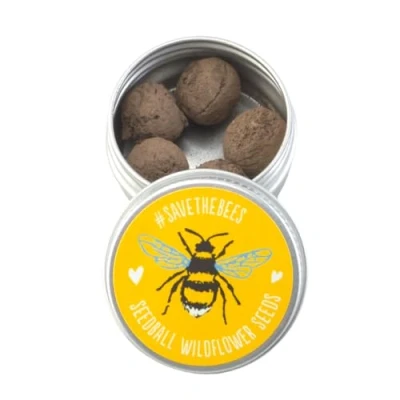 Image of Save The Bees Seedball Tin Mini Gift Cracker Filler