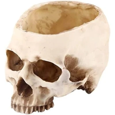 Image of TOPINCN Modern Resin Skull Shaped Head Design Flower Pot Planter Container Decoration Large for Home Office Desk