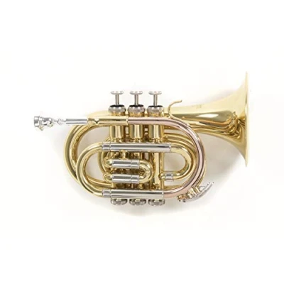 Image of Roy Benson MOD.PT 302 BB Lacquered finish, Bell diameter 125 mm, Pocket Trumpet with Light Rectangular Case