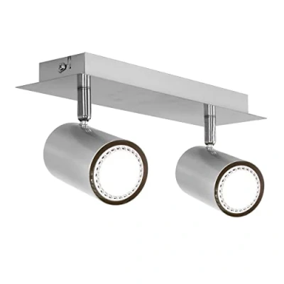 Image of Trio Lighting Dora 2 bulb halogen ceiling spotlight