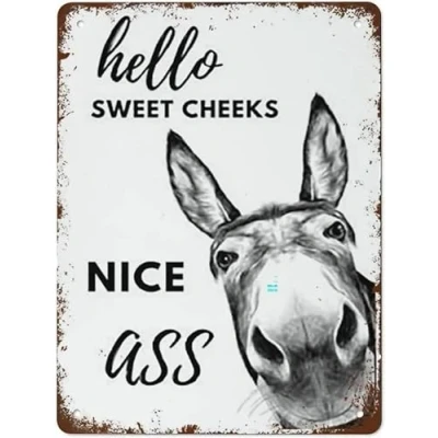 Image of Vintage Hello Sweet Cheeks Nice Ass Donkey Aluminium Metal Tin Sign 12x16 Inch Home Poster Bar Pub Decor
