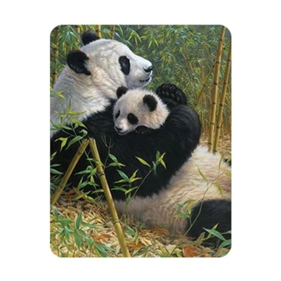 Image of 3D LiveLife Magnet A New Dynasty from Deluxebase. Lenticular Panda Fridge Magnet. Magnetic decor for kids and adults with artwork licensed renowned artist, Beth Hoselton