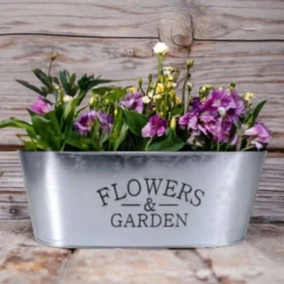 Image of FabFinds Embossed Print Metal Planter for Flower Herb &amp; Decor 5 Pack