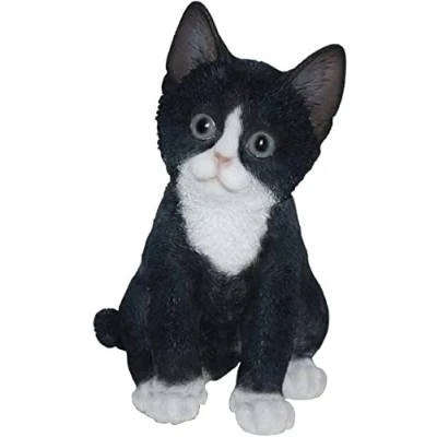 Image of Pet Pals Kitten Black and White by Vivid Arts