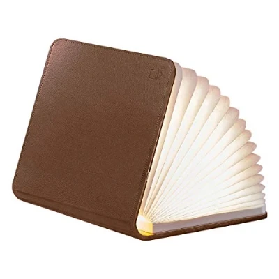 Image of Gingko LED Smart Book Desk Light with Natural Leather Effect Finish, Rechargeable Micro USB Charger, Brown Leather, one Size