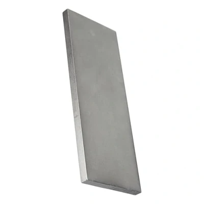 Image of DMT D11F 8 x 3 Inch Dia Sharp Continuous Diamond Fine