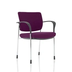 Image of Brunswick Deluxe Chrome Frame Bespoke Back Seat Purple With Arms